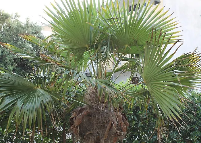 Апартаменты Ruby Мандре