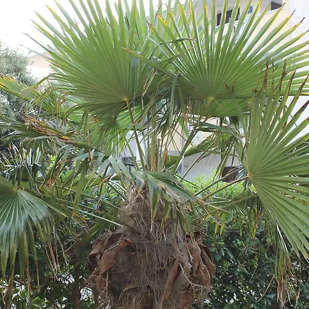 アパート Ruby マンドレ